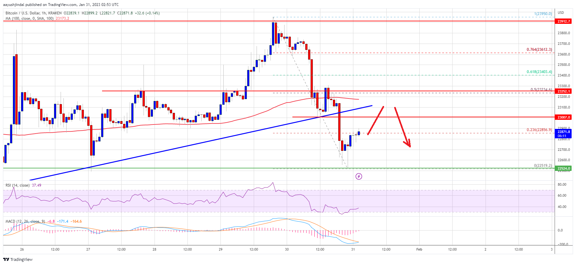 Bitcoin Price Hints At Potential Correction, Buy The Dip?