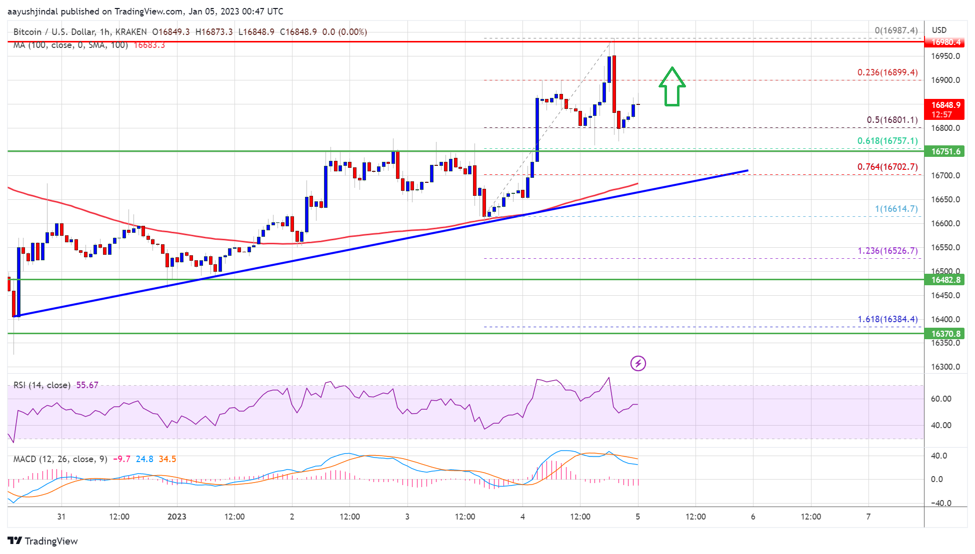 Bitcoin Price Jumps To $17K and Prints Bullish Continuation Signal