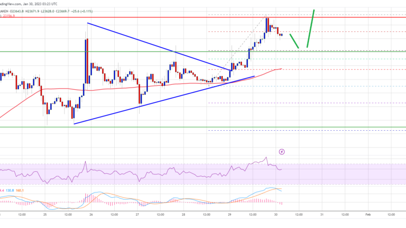 Bitcoin Price Resumes Uptrend as The Bulls Aim The Key $25K Barrier