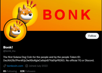 BONK Goes Bonkers With Over 200% Increase In Last 24 Hours – Will This Save Solana?