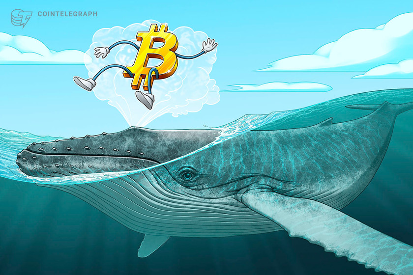 BTC price forms new support at $16.8K as Bitcoin lures ‘mega whales’