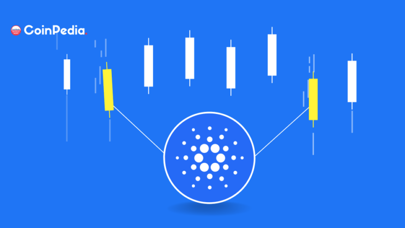 Cardano (ADA): Rising From The Ashes Or Heading For A Fall?