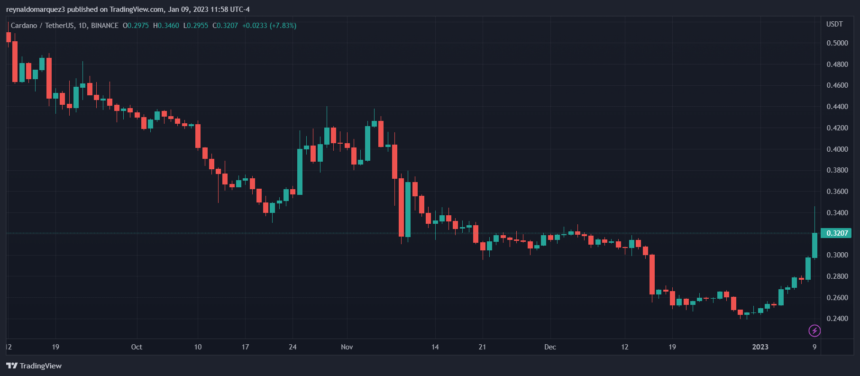 Cardano Follows Bullish Sentiment, Why ADA Could Become Top 3 Coin