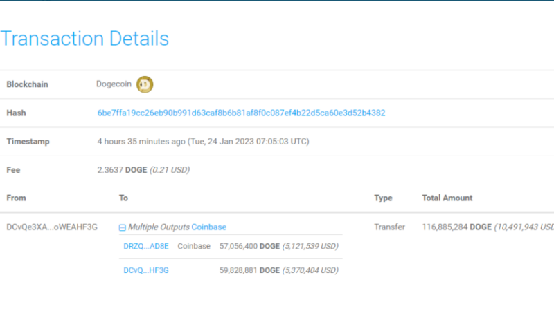 Dogecoin Whale Transfers $5M In DOGE To Coinbase, Bearish Signal?