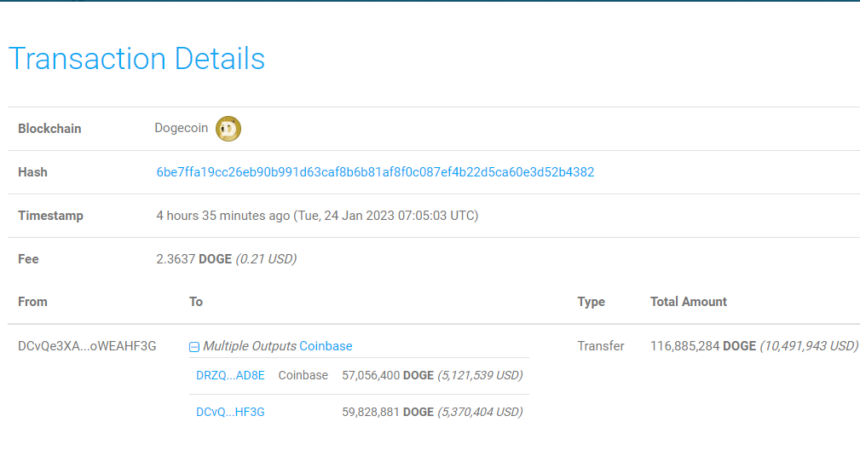 Dogecoin Whale Transfers $5M In DOGE To Coinbase, Bearish Signal?