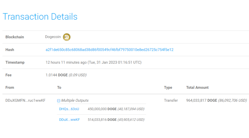 Dogecoin Whales Move Large Amounts, Bearish For DOGE?
