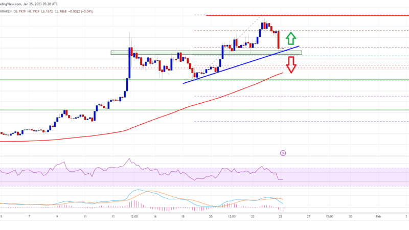 DOT Price (Polkadot) Indicators Suggest Strong Case For Fresh Rally