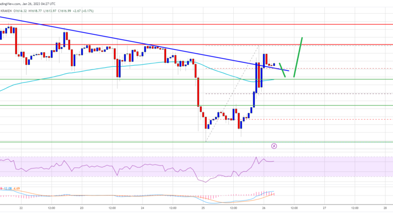 Ethereum Price Holds Ground And Sees Fresh Rally, Bulls Are Not Done Yet
