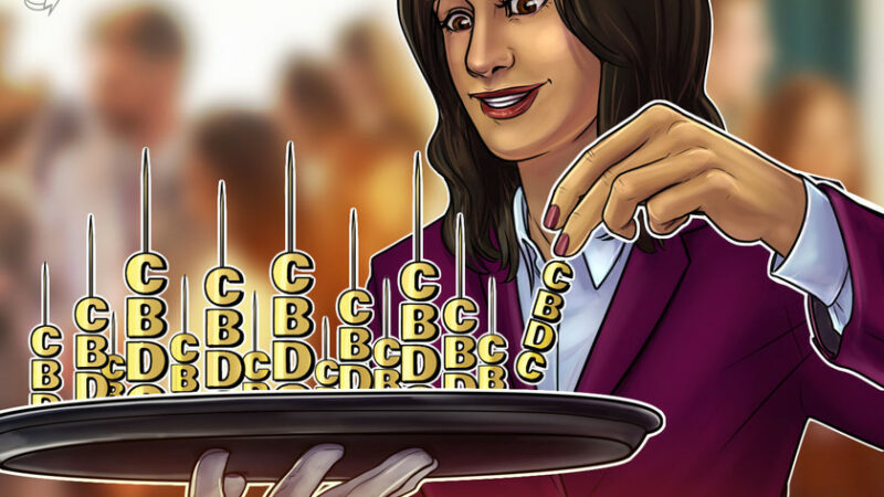 Going cashless: Norway’s digital currency project raises privacy questions