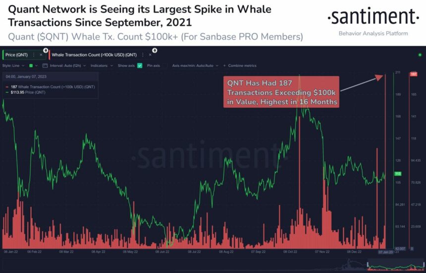 Quant (QNT) Records Biggest Whale Transactions In 16 Months