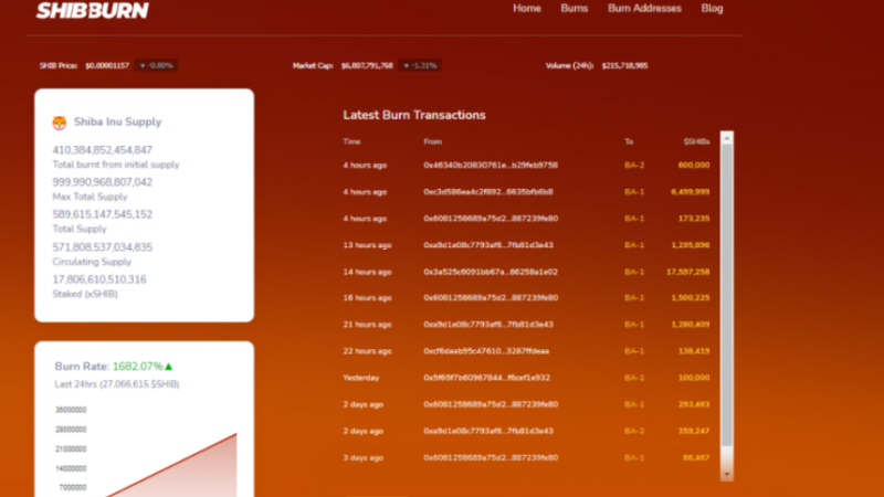 Shiba Inu Observes Highest Rise In Burn Rate – Is This Normal?