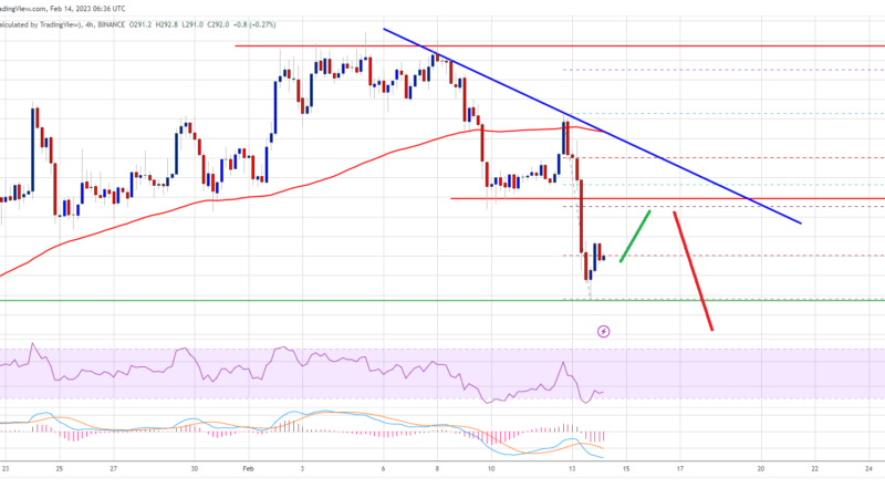 BNB Price Drops After BUSD Crackdown, Upsides Turn Attractive to Bears