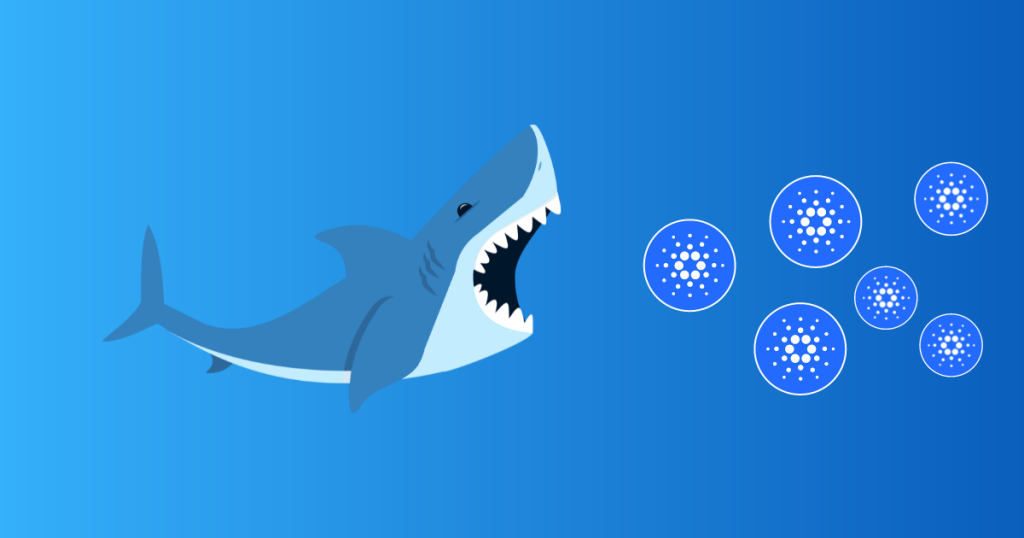 Cardano (ADA) Whales Records a 9-Month High Activity, Analysts Forecast a 40% Rally