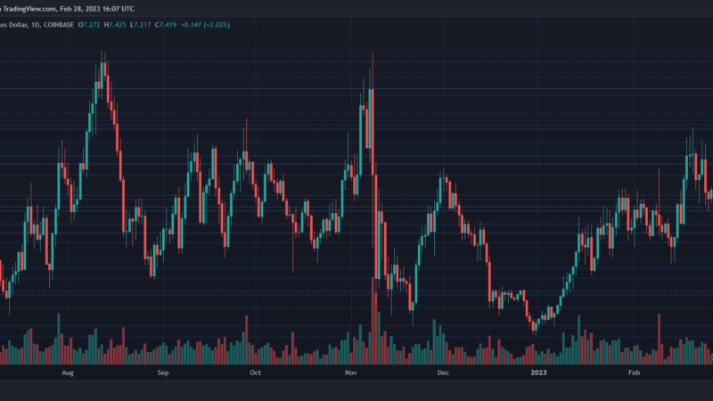 Chainlink Price Rises Above The $7 Mark, Will This Support Level Hold?