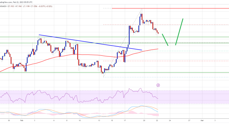 DOT Price (Polkadot) Prediction: Another Increase Possible If This Support Holds