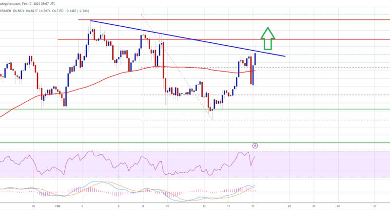 DOT Price (Polkadot) Prediction: Indicators Suggest Key Bullish Breakout