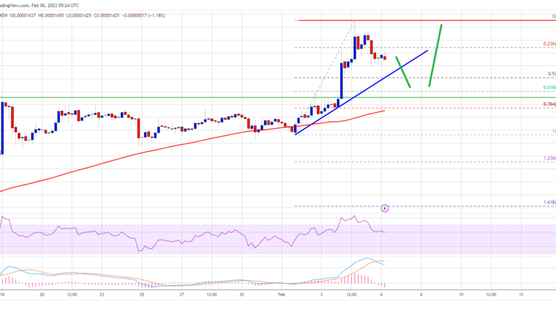 SHIB Price Prediction: Shiba Inu Rally Turns Attractive Above $0.0000125