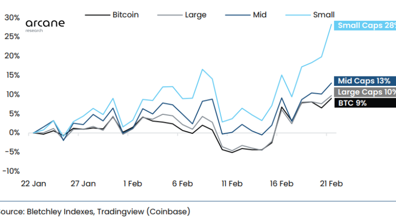 Small Cap Altcoins Still Crypto Market Kings, Massively Outperform Bitcoin