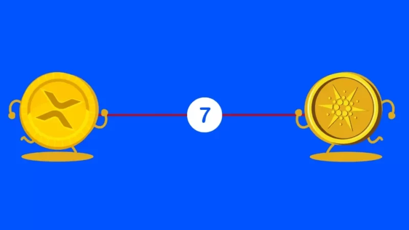 XRP and Cardano (ADA) Are Completely utterly Useless – Says CEO of Financial Data Provider Estimize