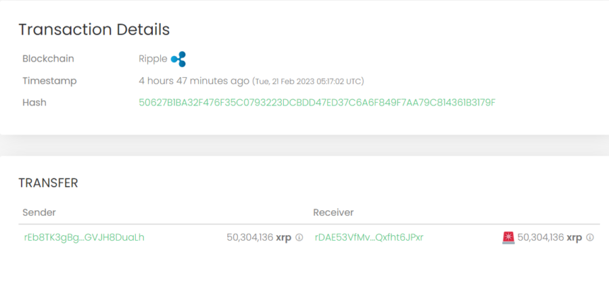 XRP Whale Moves $19.7 Million Away From Binance, Bullish Sign?