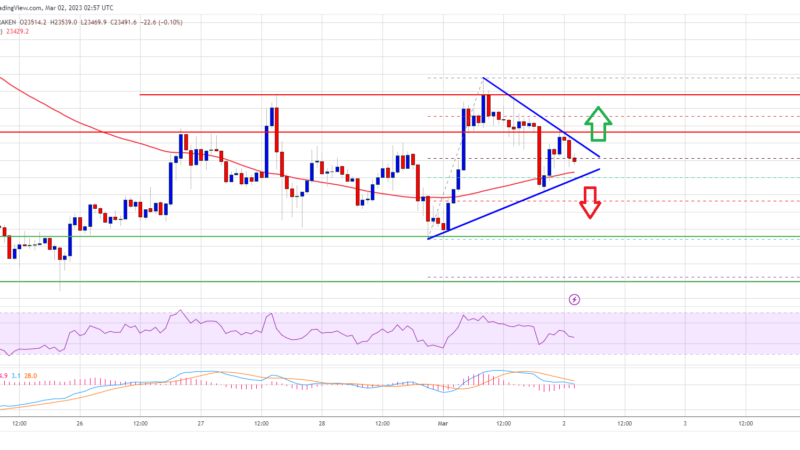 Bitcoin Price Needs To Clear $24,000 For Hopes of a Fresh Rally