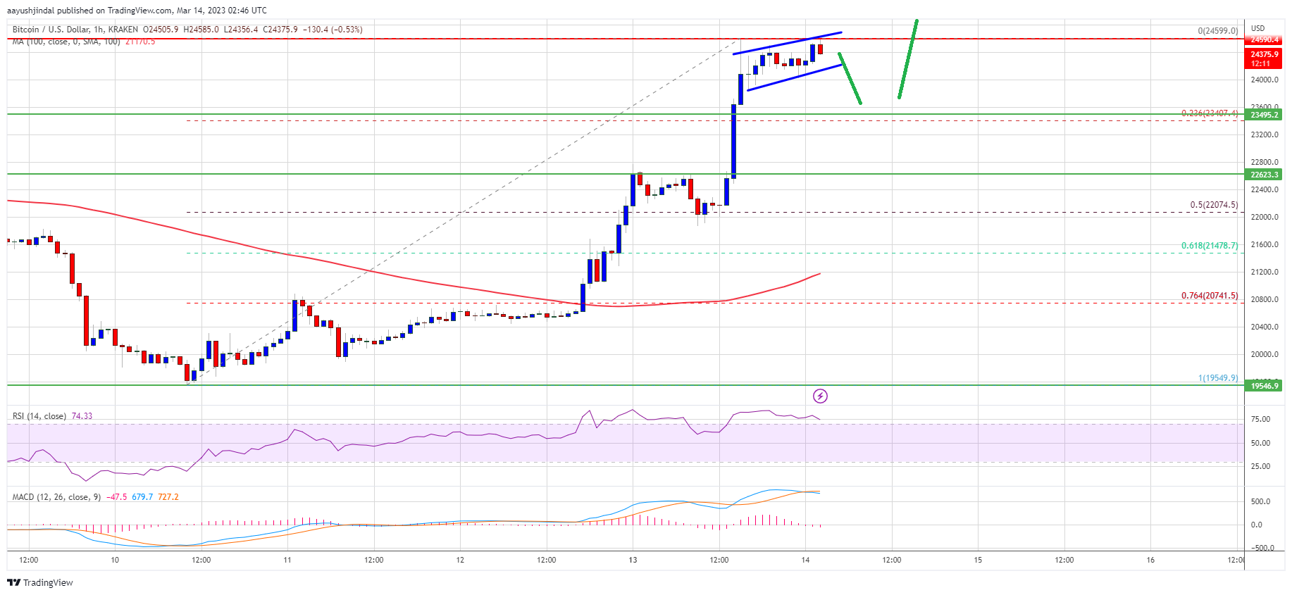 Bitcoin Price Rally Loses Steam But This Support Might Spark Another Surge