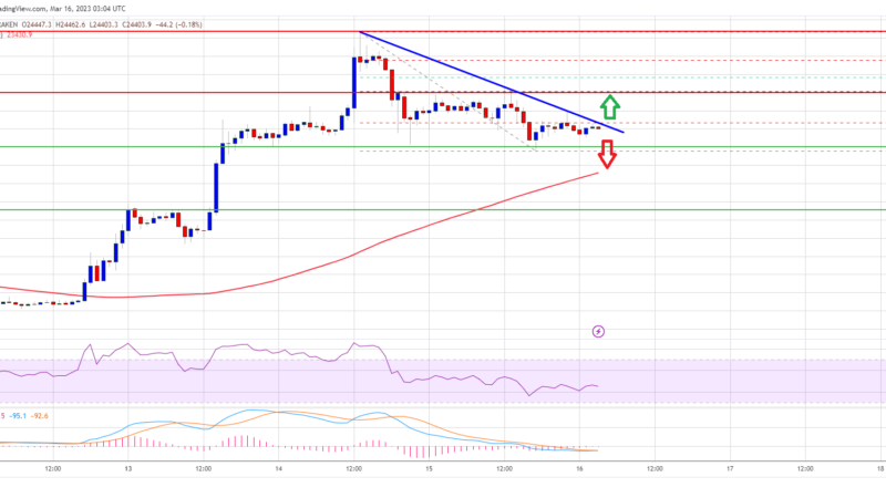 Bitcoin Price Reaches Inflection Zone As The Bears Slowly Take Control