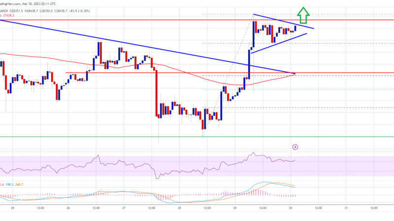Bitcoin Price Regains Strength As The Bulls Target Fresh Monthly High