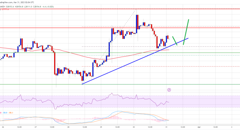 Bitcoin Price Shows Signs of Weakness But Key Uptrend Support Intact