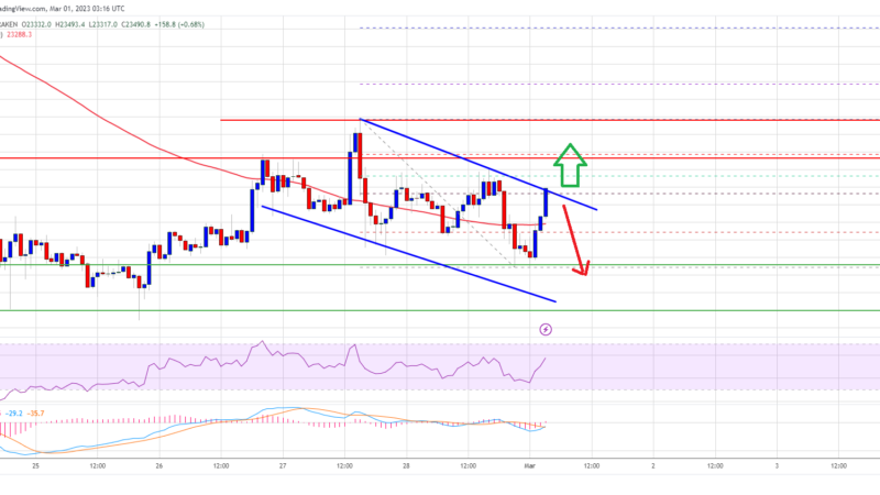 Bitcoin Price Stuck In Key Range, What Can Spark Fresh Increase