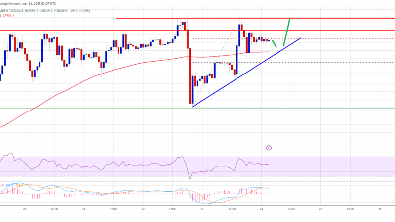 Bitcoin Price Trims Losses But Remains In Range, What Could Trigger Fresh Rally