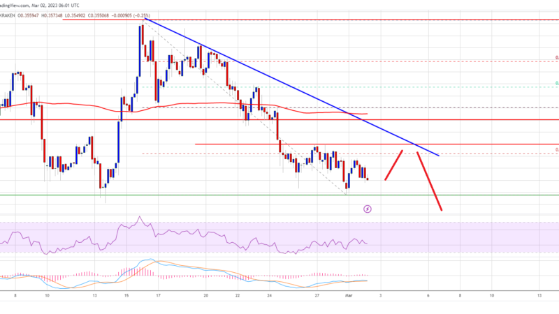 Cardano (ADA) Price Revisits Key Support, Can Bulls Save The Day?