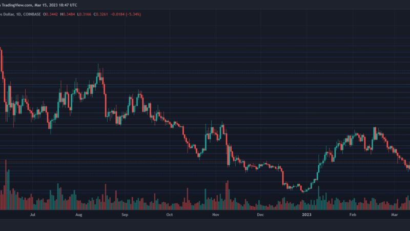 Cardano May Touch $0.30 But These Price Levels Are Vital For The Coin