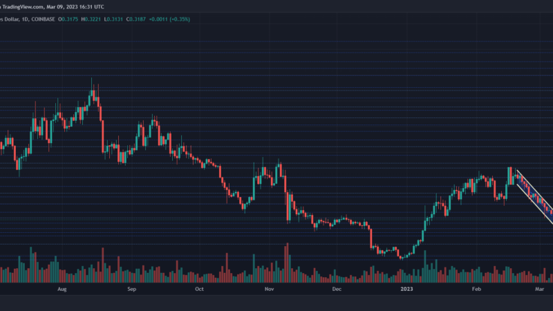 Cardano Might Turn Around If It Moves Above These Two Levels