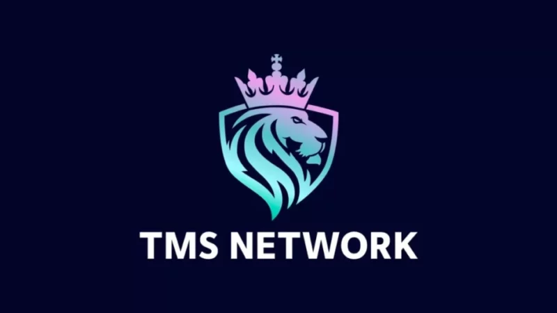 Conflux (CFX) and Shiba Inu (SHIB) Holders Should Know This Before Investing in TMS Network (TMSN)
