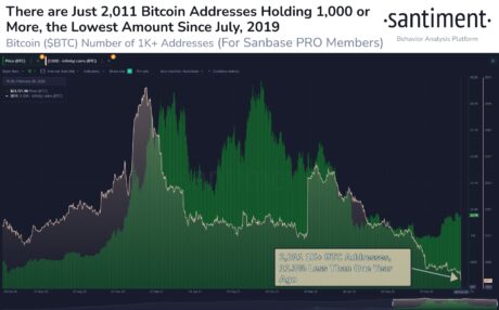 Decline In Bitcoin Whale Activity Could Signal Further Downside For BTC Price