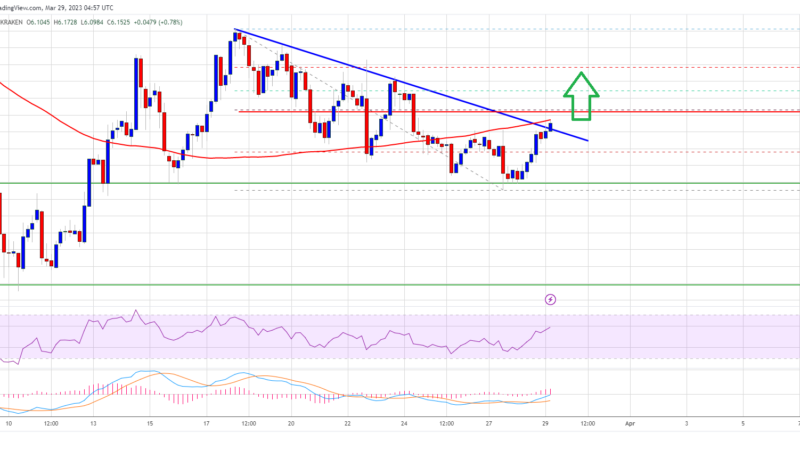 DOT Price (Polkadot) Prediction: Bulls Aim Fresh Surge To $7