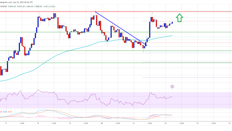 Ethereum Price Could Stage Strong Rally If It Closes Above This Resistance