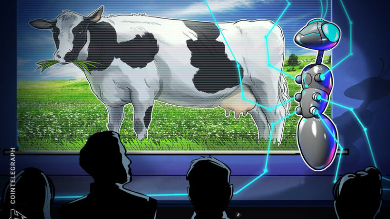 How Irish farmers turn cow dung into digital gold (Bitcoin)