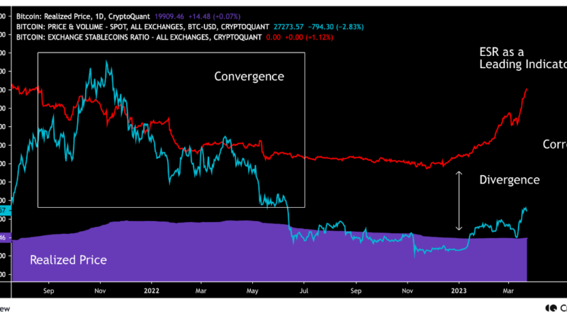Quant Explains How Bitcoin ‘ESR’ Can Act As Leading Indicator For Price