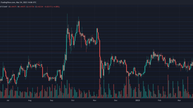 XRP Might Target $0.50 If It Continues To Trade Above This Level