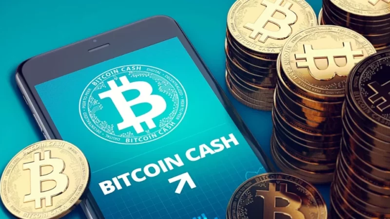 Analysts Think that DigiToads (TOADS) Binance Coin (BNB) and Bitcoin Cash (BCH)  Could be the Best Investments of 2023