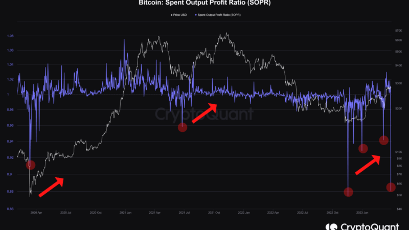 Bitcoin SOPR Plunges, Why This Could Be Bullish