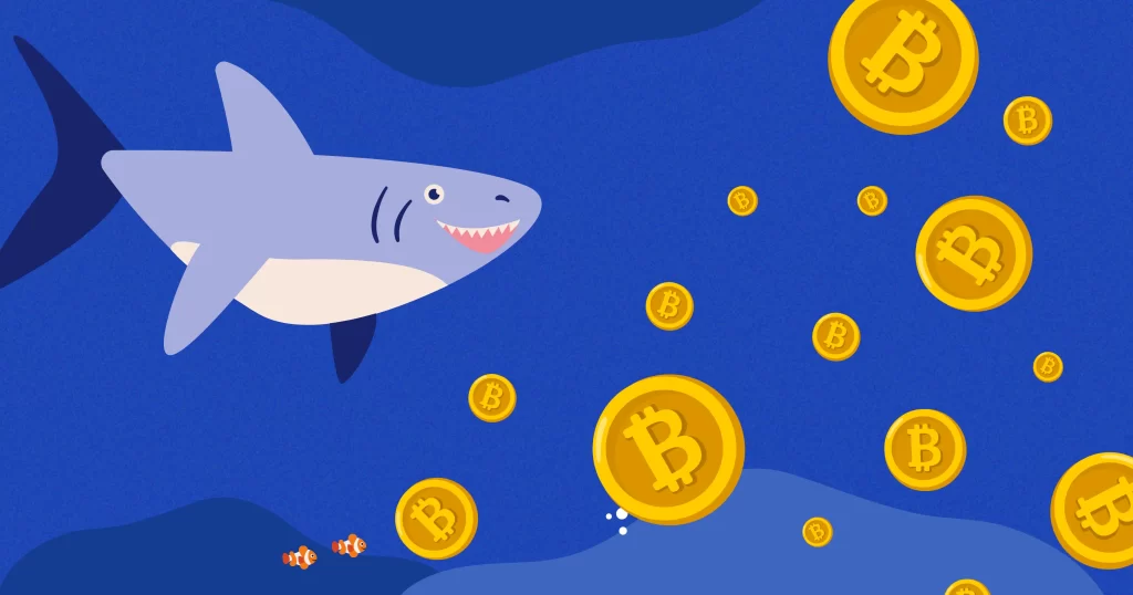 Bitcoin Whales Gearing Up: Transferred 2000 BTC Again-What’s Next for BTC Price?