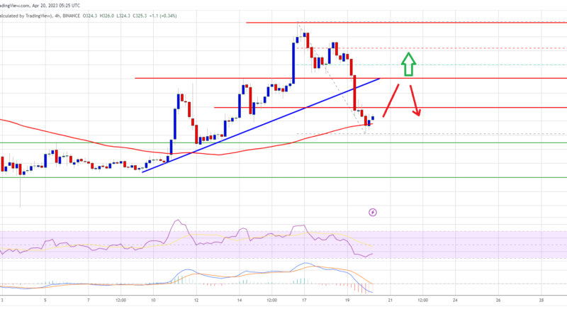 BNB Price Takes Hit But 100 SMA Could Trigger Fresh Increase