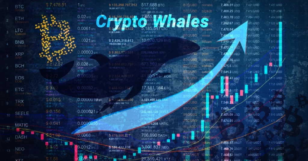 Bone ShibaSwap Price Prediction: Avorak AI Algo Provides Strong Buy Signal