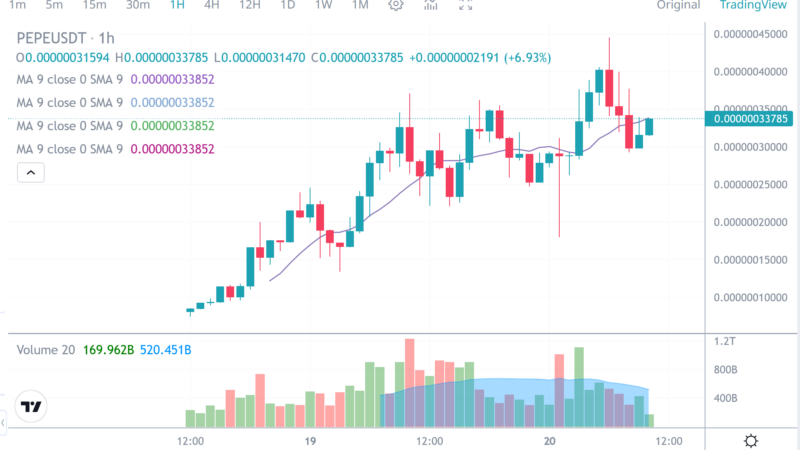 Can Meme Coin PEPE Get Into The Top 100? Read This Before Buying