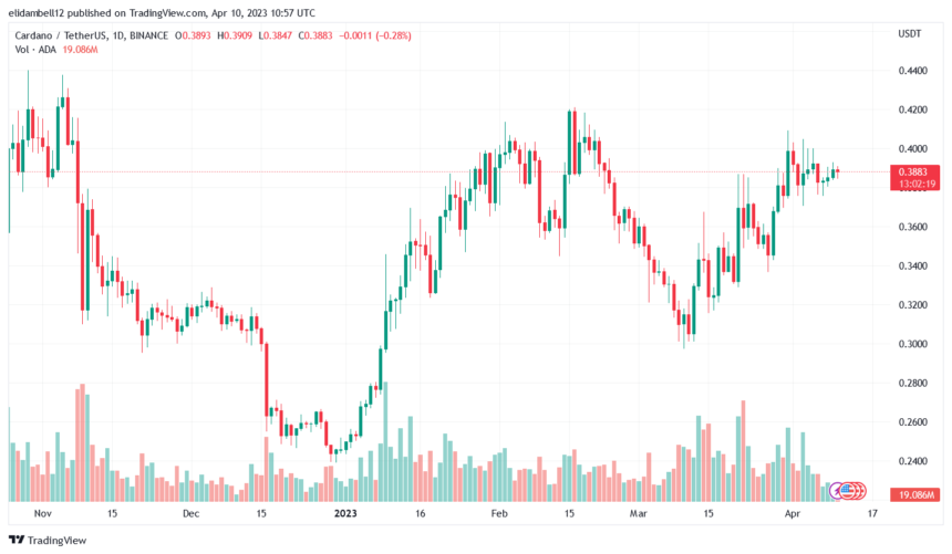Cardano (ADA) Draws Attention As Whales Accumulate 560 Milloon Tokens