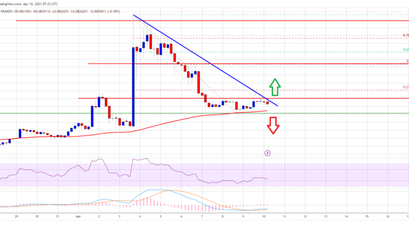 Dogecoin Price Prediction: Doge Near Key Juncture and 100 SMA Is The Key