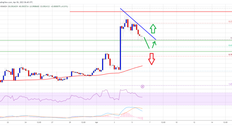 Dogecoin Price Prediction: Doge Rally Faded But Not Likely Over
